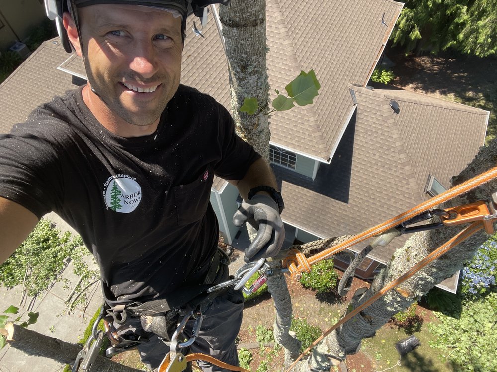 Arbor Now - tree service in Happy Valley, OR