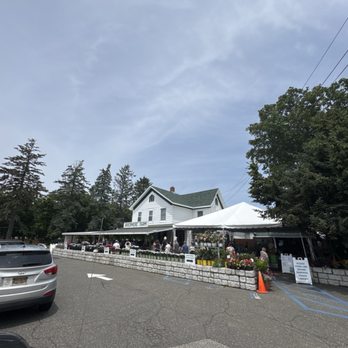 Briermere Farms - Sunday morning visitors to Brieremere - Bakeries Near Me - Riverhead, New York