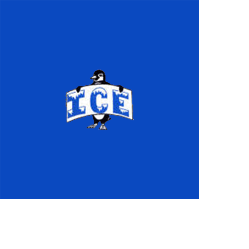 QUALITY ICE 326 N Highway 17, Palatka, Florida Heating & Air