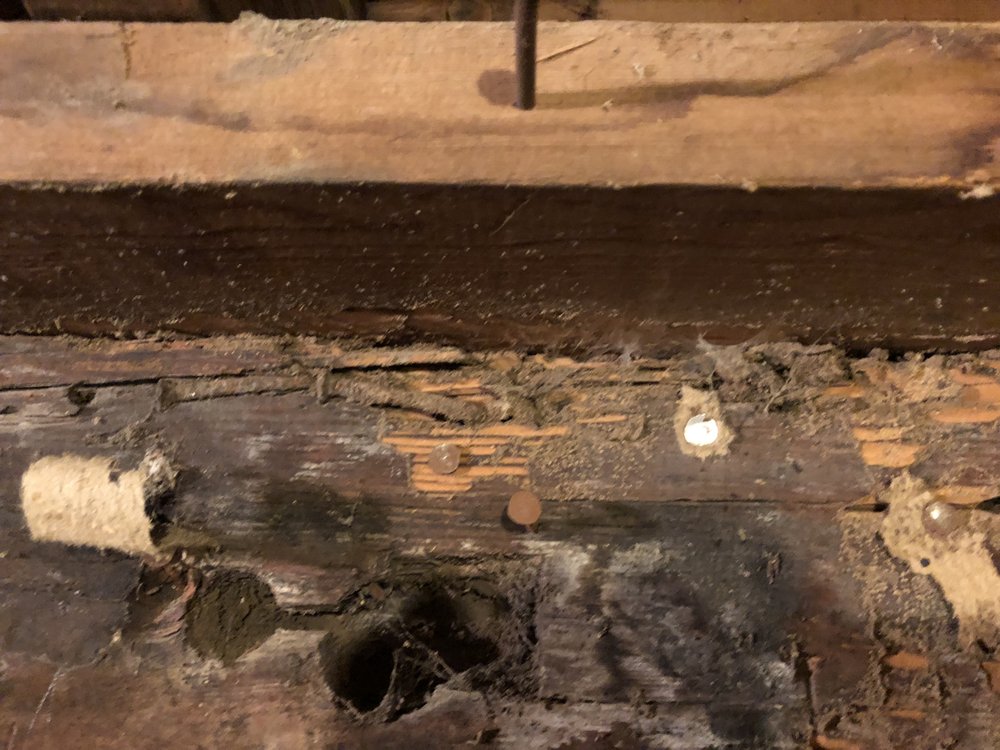 BEST PEST CONTROL Updated September 2024 26 Photos 711 Central Ave, Billings, Montana