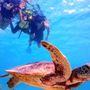 Photo of Aloha Fantasy Tours