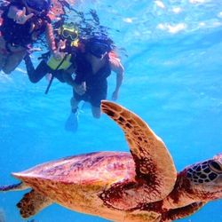 Aloha Fantasy Tours