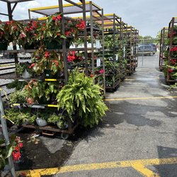 Villa Park Ace - Outdoor plants are HERE!