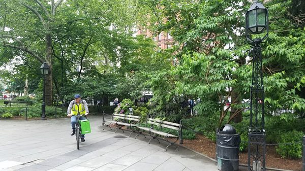 City Hall Park Greenmarket by null