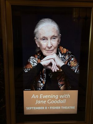 Fisher Theatre by null