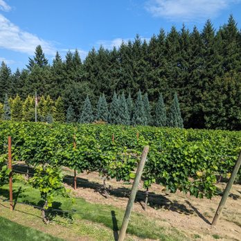 Columbia Ridge Winery - Gorgeous vineyards - Wine Tasting Room Near Me - Ridgefield, Washington