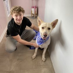 Bullitt County Pet Salon - Jacobs first ever unassisted full groom