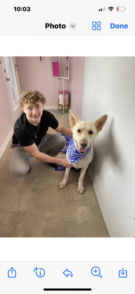 Bullitt County Pet Salon - pet boarding facility in Louisville, KY