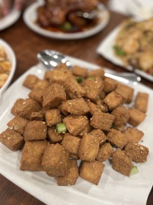 Golden Pheasant by null