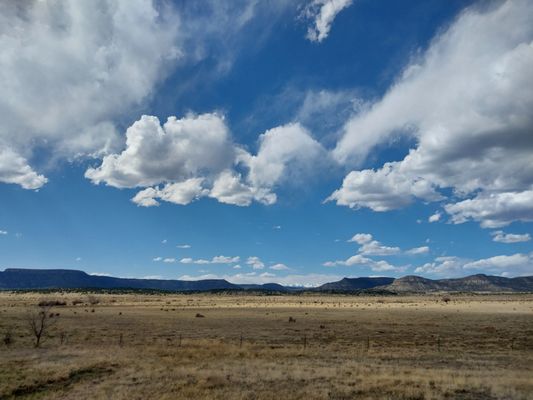 Colfax Tavern & Diner at Cold Beer NM by null