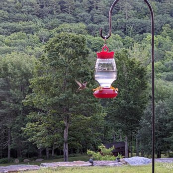 Pond Mountain Inn - Bed & Breakfast Near Me - Wells, Vermont Pond Mountain Inn - Bed & Breakfast Near Me - Wells, Vermont
