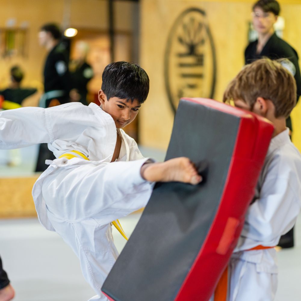 TOP 10 BEST Muay Thai Classes near Mill Valley, CA - Updated 2025 - Yelp, image size:1000x1000