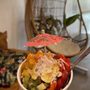 Photo of Hawaiian Aroma Caffe