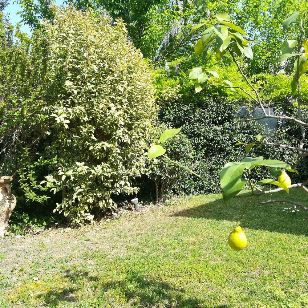 EUI in the Press 2023 • European University Institute, image size:1000x1000