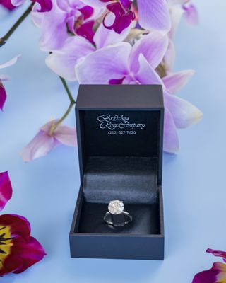 Bridal Rings Company by null