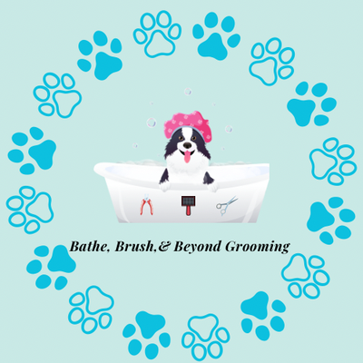 Bathe Brush & Beyond Grooming