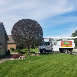 Tri-County Tree & Firewood