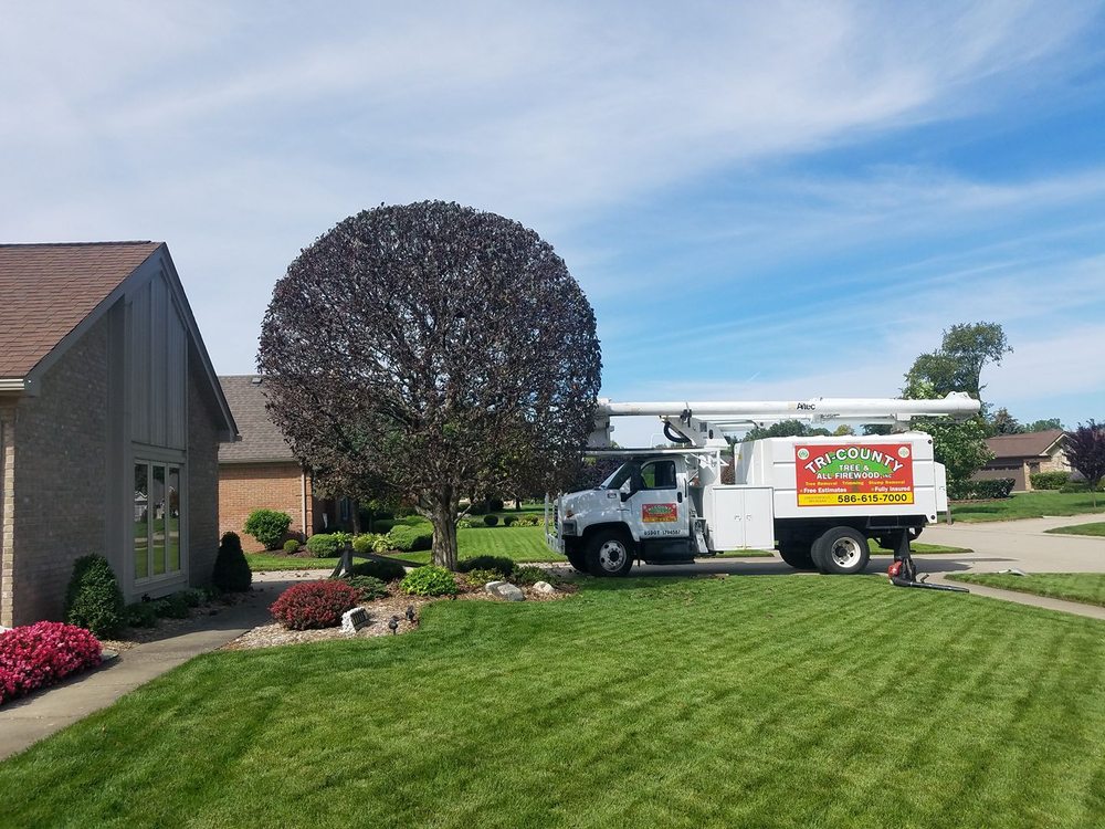 Tri-County Tree & Firewood - tree service in Chesterfield, MI