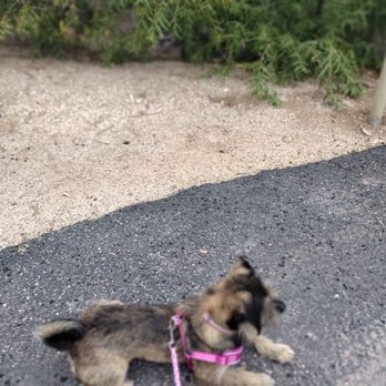 Agua Caliente Park - Parks Near Me - Tucson, Arizona