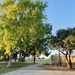 Southgate Park Pickleball Courts - Nice trees and walkways.