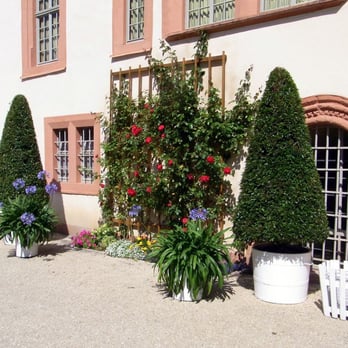 Schloßgarten - Garten an der Oberen Orangerie - Parks Near Me