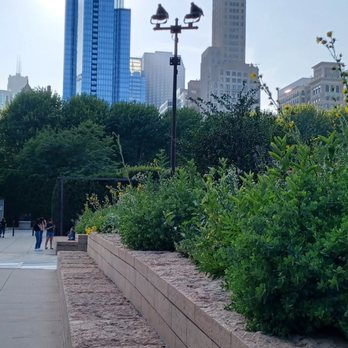 Lurie Garden - Walkways surrounded by beauty - Botanical Gardens Near Me - Chicago, Illinois Lurie Garden - Walkways surrounded by beauty - Botanical Gardens Near Me - Chicago, Illinois