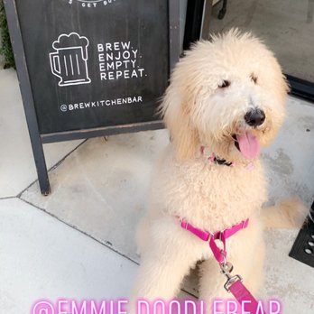 Brew Kitchen Bar - Gastropubs Near Me - Monterey Park, California