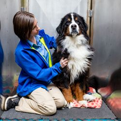 Care First Animal Hospital at Glenwood