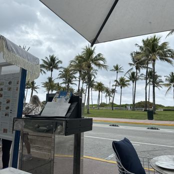 Meet Dalia - Mediterranean Near Me - Miami Beach, Florida Meet Dalia - Mediterranean Near Me - Miami Beach, Florida