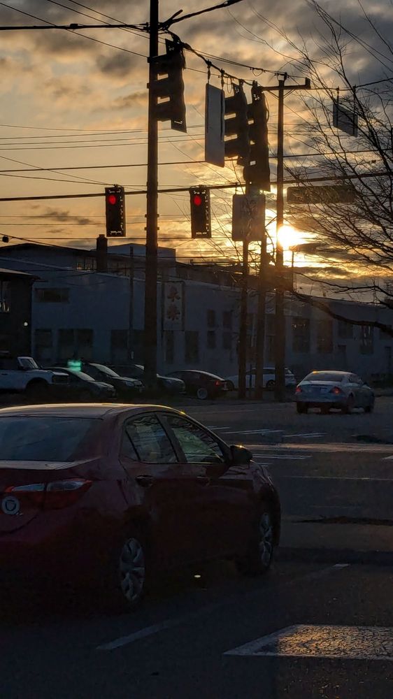 Raven Studios - Sodo Park