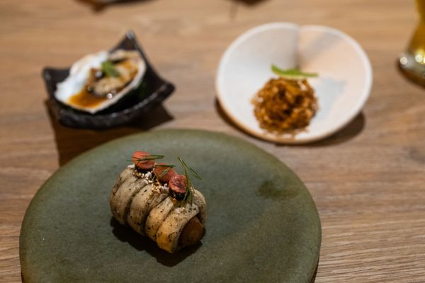 Oyster Oyster by null