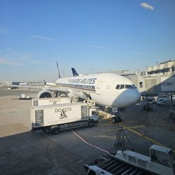 Singapore Airlines