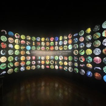 Field Museum - Museums Near Me - Chicago, Illinois