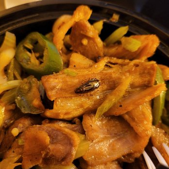 Fat Dragon - Asian Fusion Near Me - Austin, Texas Fat Dragon - Asian Fusion Near Me - Austin, Texas
