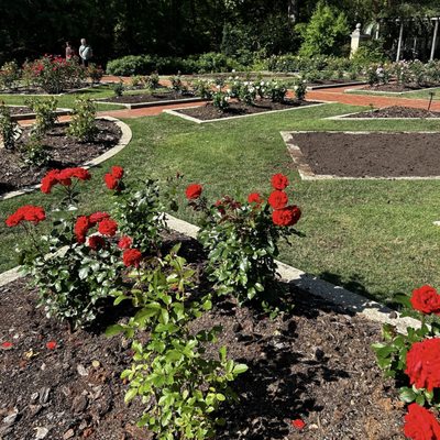 Birmingham Botanical Gardens by null