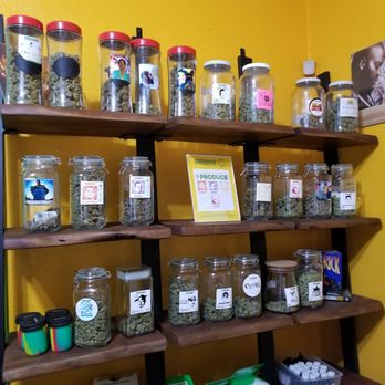 Green Muse - Medicine - Cannabis Dispensaries Near Me - Portland, Oregon Green Muse - Medicine - Cannabis Dispensaries Near Me - Portland, Oregon