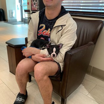Starbucks - Dog friendly - Coffee & Tea Near Me - McLean, Virginia