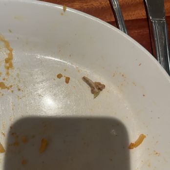 Mi Cocina - Bone found in Enchilada Dinner. - Mexican Near Me - Richardson, Texas