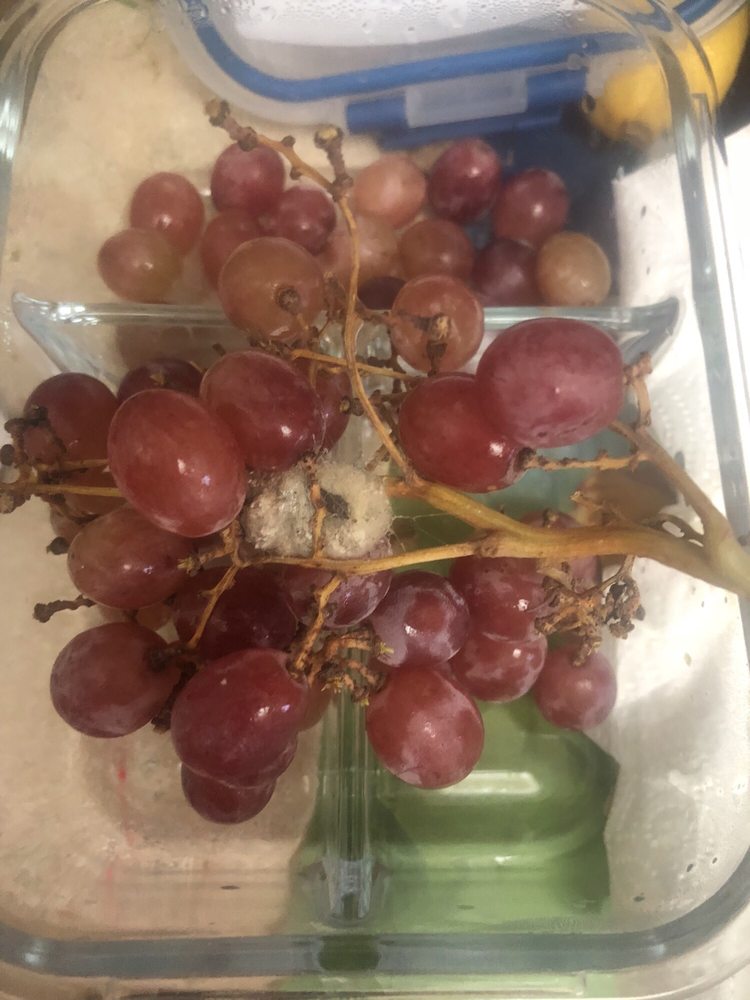 STATER BROTHERS PLAZA Updated September 2024 71757 Twentynine Palms