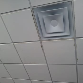 Wendy's - Ya, friggn mold above my head. Yummy! - Fast Food Near Me - Clear Lake Shores, Texas Wendy's - Ya, friggn mold above my head. Yummy! - Fast Food Near Me - Clear Lake Shores, Texas