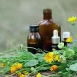 Naturopathic School of the Healing Arts - We teach students to make dozens of types of herbal medicine for self and clients.