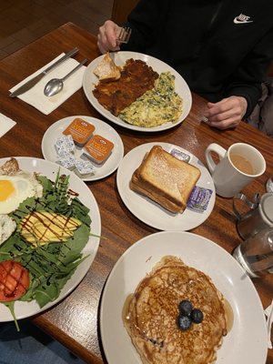 Pegasus Brooklyn by null