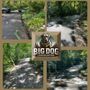 Photo of Big Dog Landscaping