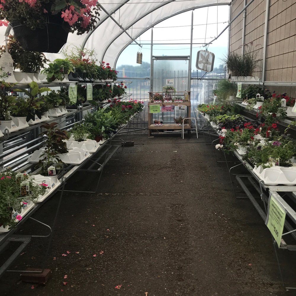 Frattallone's Ace Hardware - Greenhouse - Hardware Stores Near Me - Andover, Minnesota