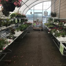 Frattallone's Ace Hardware - Greenhouse