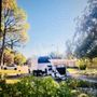 Photo of Burris Tree Service