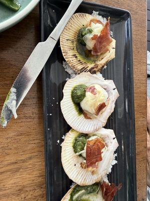 Vivo Palm Cove by null