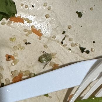 sweetgreen - Healthy Salads, Wraps, and Bowls - Salad Near Me - Rancho Cucamonga, California sweetgreen - Healthy Salads, Wraps, and Bowls - Salad Near Me - Rancho Cucamonga, California