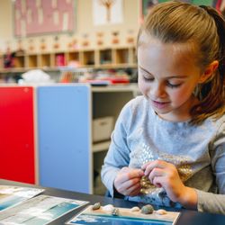 The Academy ECE of Arvada
