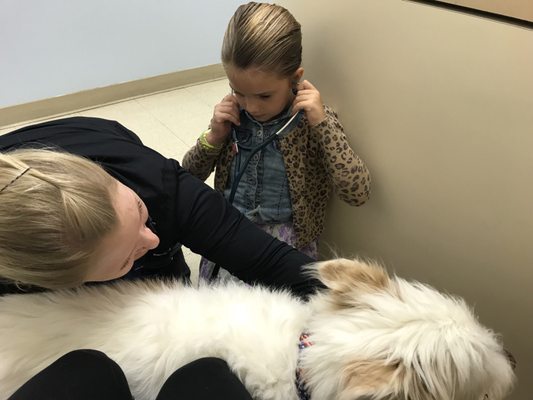 vca animal hospital lake forest